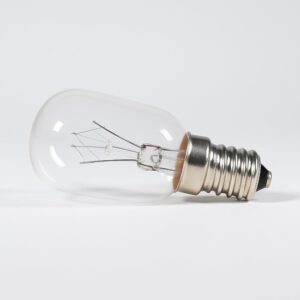 fridge light bulb