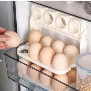 fridge egg tray