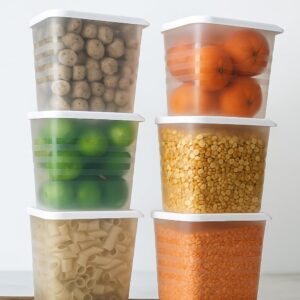 fridge storage container