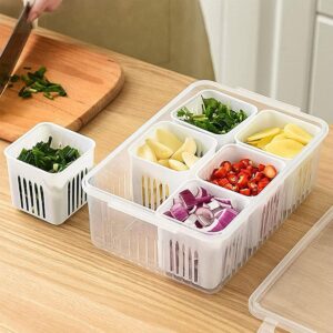Oblivion fridge storage boxes | fridge container for Kitchen Storage Set | Freezer Storage Containers | fridge organizers storage box set | vegetable storage box for fridge (6- Compartment)