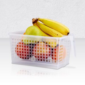 Glory Handy Baskets -Small (Pack of 1) Fridge Storage, Fruit & Vegetable storage Container, Refrigerator storage, Multipurpose Storage-Transparent (Clear)