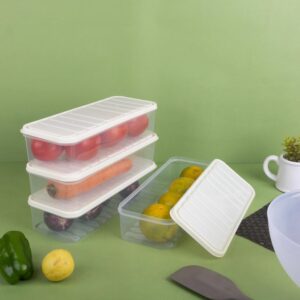 HomeWiz Plastic 1200 ML Kitchen Fridge Storage Container Box X 4 | 4800 ML| BPA Free,Food Grade | For Fruits,Vegetables,And More | Durable, Stackable, Secure Sealing and Organizing