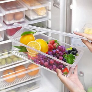 (Pack of 2 Fridge Storage Boxes, Plastic Boxes for Storage, Storage Box for Kitchen, Kitchen Organizer Items, Fridge Organiser, Kitchen Storage Container Set