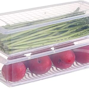 Primelife 2 Pcs Plastic Storage Boxes fridge organizers box for kitchen with removable drain plate and airtight lid fridge storage box containers for vegetables – Transparent (Fish Basket)(2)