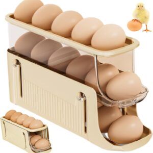 STAR WORK Polypropylene Egg Container Refrigerator, Egg Holder Fridge, Egg Fresh Storage Box Fridge, 2Layers Egg Tray, Clear Egg Organizer, Bpa Free, Rectangular