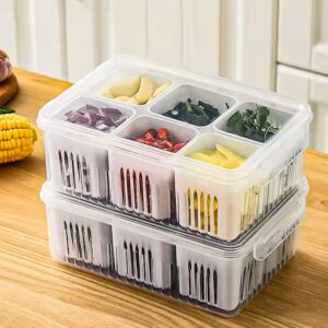 TEX-RO Fridge Storage Boxes Freezer Storage Containers, Container for Kitchen Storage Set, Storage in Kitchen, Vegetable Storage, Draining Crisper Refrigerator Food Box (1)