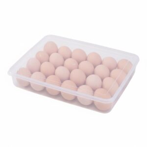 XML Eggs Tray With Lid Cover Clear Transparent Plastic Home Storage Organizer Box Stackable Container for Fridge Refrigerator Hotel,Restaurant,Kitchen Accessories Item (24-EGG-BOX, 1, Count)