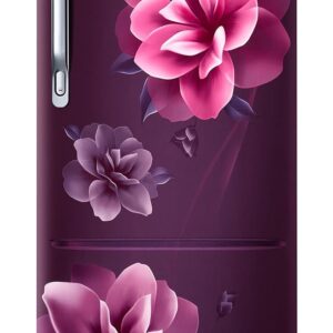 Samsung 223L 3 Star Inverter Direct-Cool Single Door Refrigerator Appliance (RR24C2723CR/NL,Camellia Purple)