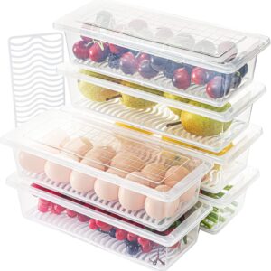 INOVERA (LABEL) 4 Pieces Fridge Storage Boxes | Refrigerator Organizer Box Set with Removable Drain Plate & Lid | Freezer Organiser Containers for Vegetables, Food, Fruits (Transparent)