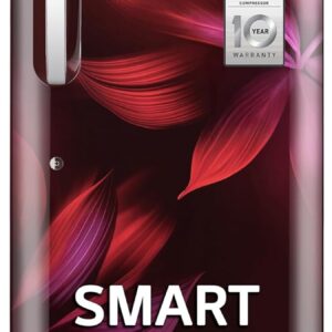 LG 210 L, 5 Star, Direct Cool, Smart Inverter Compressor, Single Door Refrigerator (2025 Model, GL-D231ASAU, Scarlet Aurora, Moist ‘N’ Fresh, Base stand with Drawer & Fast Ice Making)