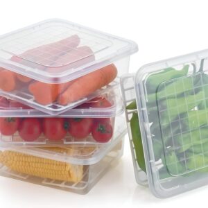 Plastic Multi-Purpose Food Storage Container With Removable Drain Plate And Lid,Stack-Able Freezer Storage Containers To Keep Fresh For Vegetables,Fruits,Fish,Meat,Transparent,2500 Ml Set Of 4
