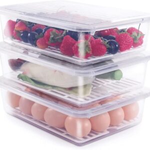 Raawan Fridge Storage Boxes – Stackable Food Storage Containers | Removable Drain Plate & Lid | Durable Fridge Organizer to Keep Food Fresh Longer | Ideal for Fruits, Vegetables | 2500ml Pack of 4
