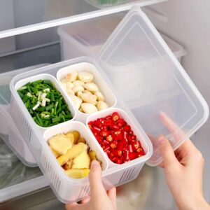 hago Refrigerator Organizer Container with 4 Grid Compartments | 1200 ML Fridge Storage Box for Vegetables & Fruits | BPA-Free Kitchen Storage Container for Fridge Organisation.