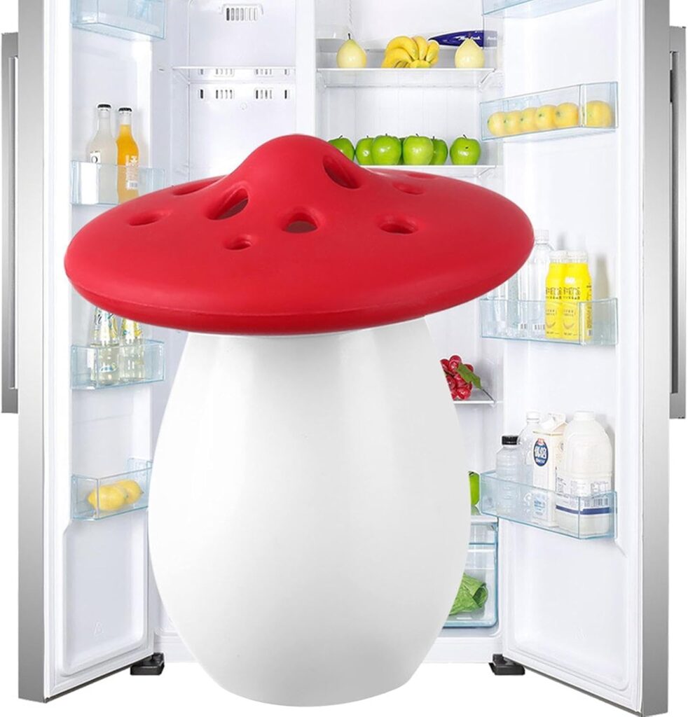 refrigerator deodorizer