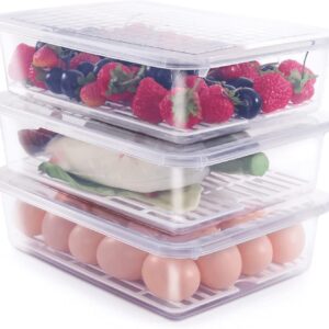 Food Storage Container with Removable Drain Plate and Lid,Stackable Portable Freezer Storage Containers Tray to Keep Fruits,Vegetables,Meat,Freezer Organizer 2500ML (Pack Of 4)