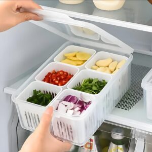 HomeWiz Fridge Storage Containers for Kitchen | 6-Grid Refrigerator Organizer with Removable Drain Plate & Airtight Lids | BPA-Free Food Storage Box | 1000 ml | Fruits & Vegetable Storage Containers
