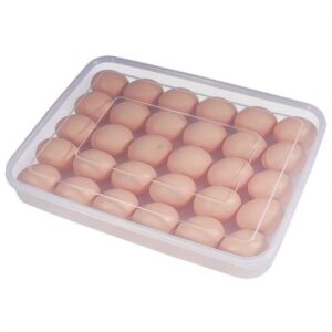 Inditradition Refrigerator Egg Tray Holder with Cover | for 24 Eggs, Plastic, Transparent (Pack of 1)