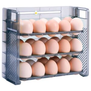 Primeway® Plastic 30 Eggs Holder Organiser Tray with Date Timer | Eggs Storage Box | Egg Container for Fridge | 3 Layer Flip Design | 30-Grid Egg Crate for Refrigerator | Blue