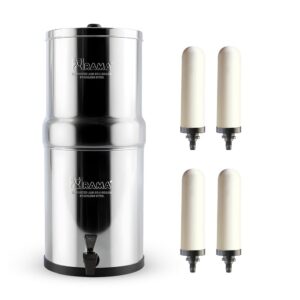 refrigerator water filter