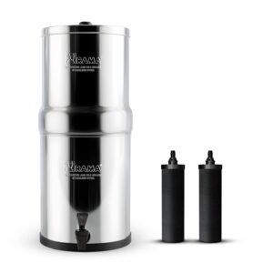 refrigerator water filter