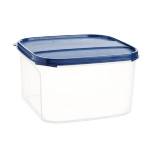 Signoraware Modular BPA Free Plastic Square Container | Dishwasher safe | Airtight & Leakproof | Kitchen & Pantry Storage | Ideal for Rice, Dal & Sugar Storage | Multipurpose ( ModBlue | 2.6 Ltr )