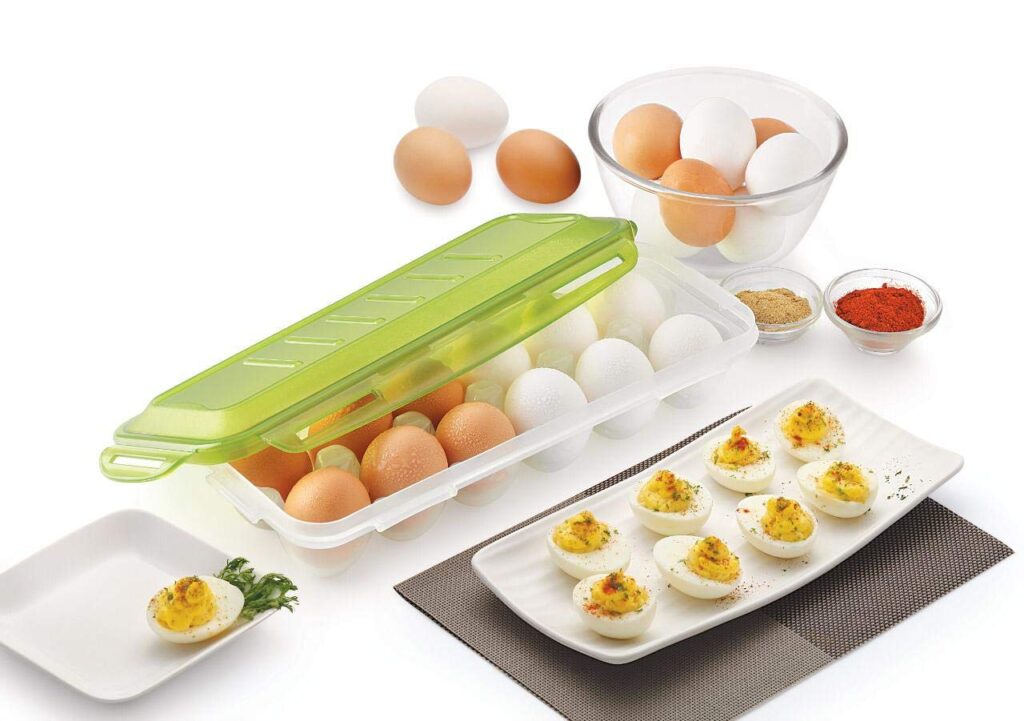 fridge egg tray