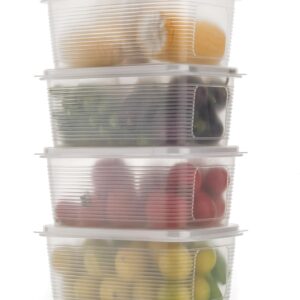 Transparent Fridge Storage Container | BPA Free Plastic Fridge Organizer Box with lid for Vegetables, Fruits & Meats. Multipurpose Refrigerator Organizer Freezer Dabba Box for Kitchen (4)