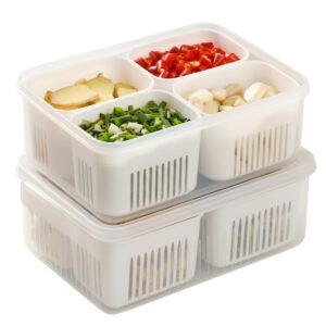 hago Fridge Storage Boxes, Fridge Organiser, Container for Kitchen Storage Set, Plastic containers for kitchen storage Durable Containers for Storage for Efficient Organisation (2) (2 NOS (4))